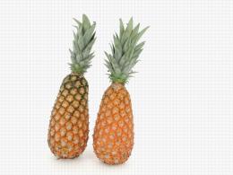 Ananas Pain de sucre, 2 niveaux de coloration
